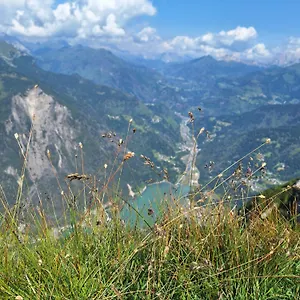Cesa De Conesel Colle Santa Lucia